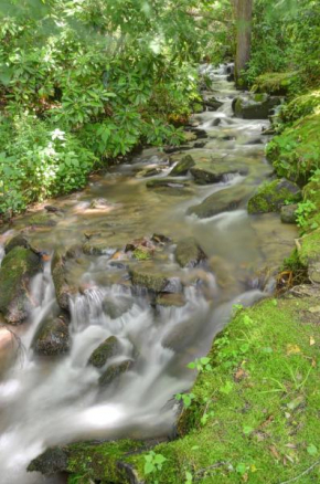 Panther Creek Cabins